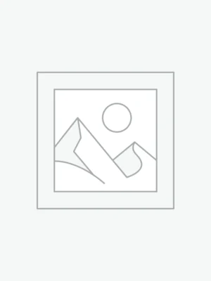 Fountain Grass 'Pennisetum alopecuroides' or Pennisetum alopecuroides - Grasses, Strappy & Tufting